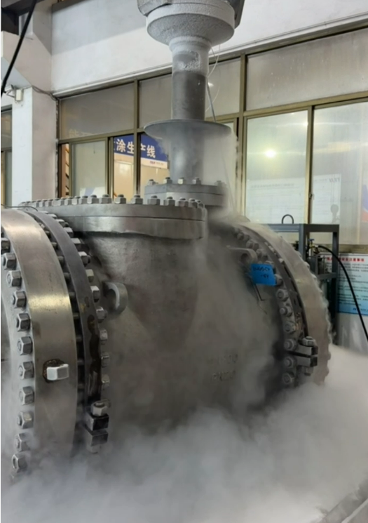 Cryogenic Gate Valve
